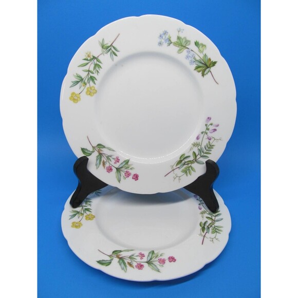 Minton Meadow Scalloped Set Of 2  Floral 7 1/2" Salad Plates VGC     1962-1970 - Picture 1 of 10